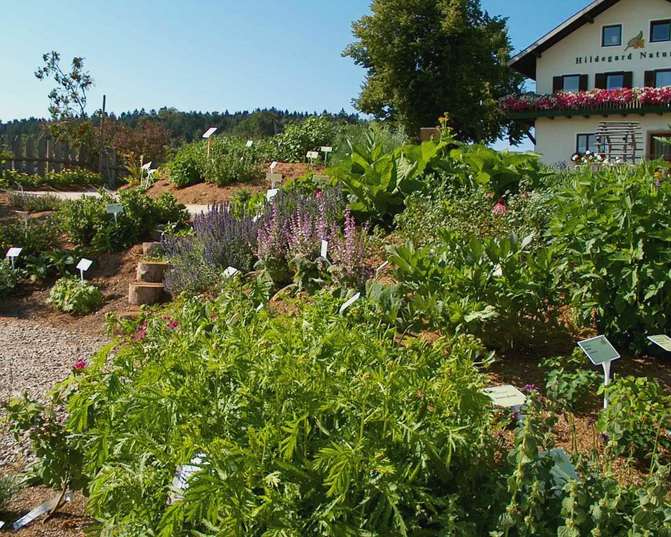 Hildegard Naturhaus Kirchberg bei Mattighofen ภายนอก รูปภาพ